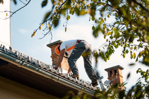 Best Roof Moss and Algae Removal  in Little Round Lake, WI